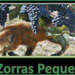 zorras-pequeas-1-638
